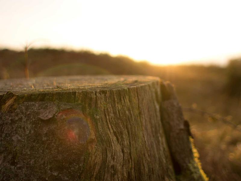 sudoku logic game screenshot 2