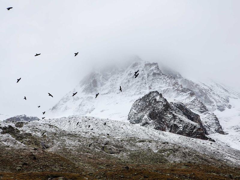 sudoku coloring method screenshot 4